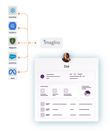 customer data + audiences