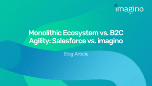 Monolithic Ecosystem vs. B2C Agility: Salesforce vs. imagino